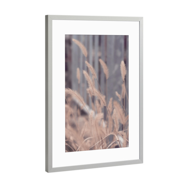 Poster mit Rahmen Silber "Wind weht Gras" artboxONE - Natur,Floral,Liebe - Wind weht gras,Gras,Pampas