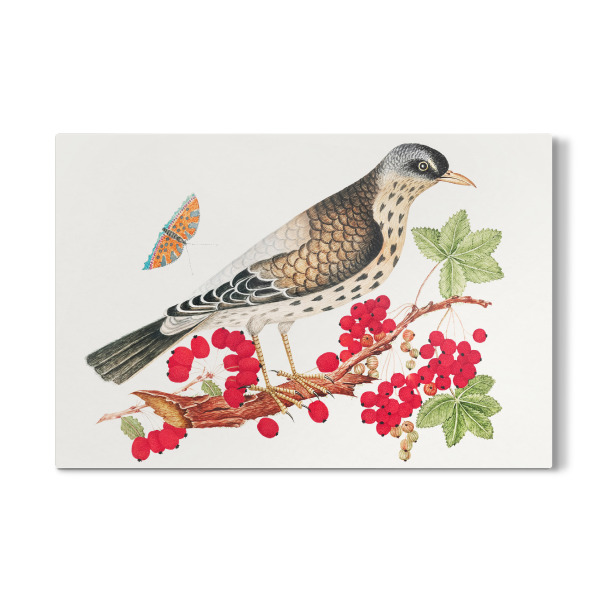 Galerie-Print "Brauner Vogel auf einem Ast" 30x20 cm artboxONE