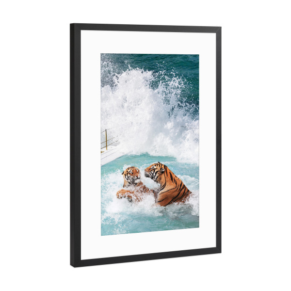 Poster mit Rahmen Schwarz (Metallic) "Tigers Pool" artboxONE - Natur,Für Kinder,Tiere,Reise / Strand und Meer,Städte / Sydney