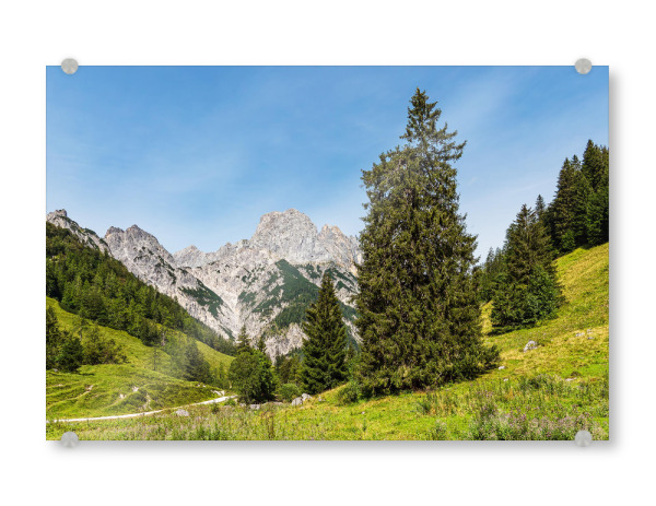 Acrylglasbild "Wald, Wiese, Berge" artboxONE - Natur,Reise