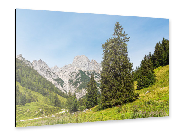 Alu-Dibond "Wald, Wiese, Berge" 30x20 cm artboxONE