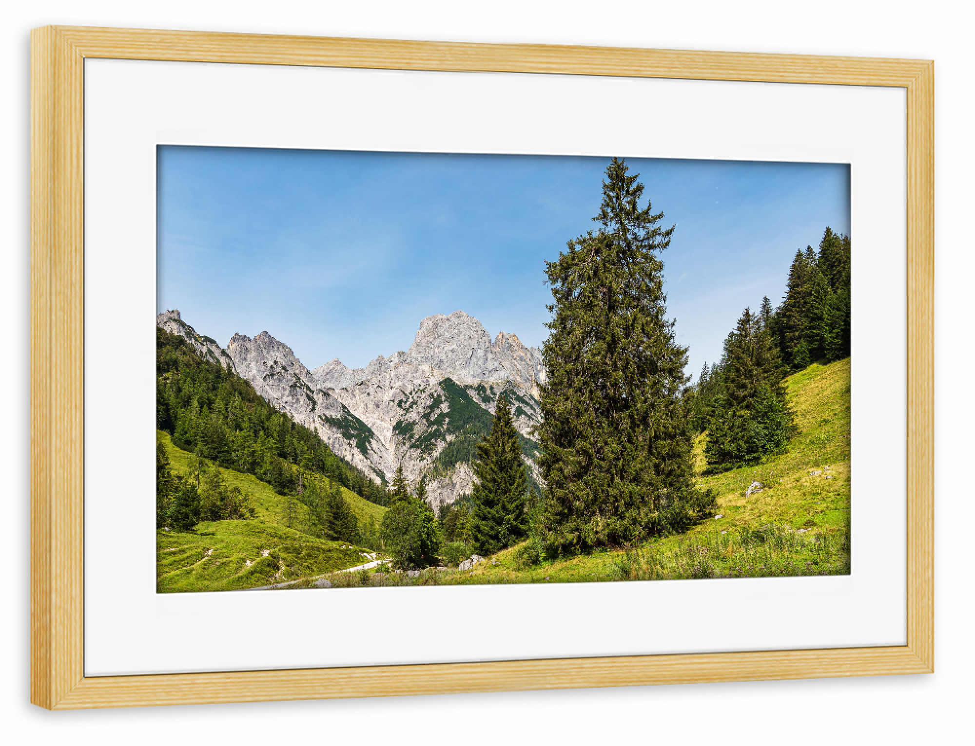 Poster mit Rahmen kiefer "Wald, Wiese, Berge" artboxONE - Natur,Reise