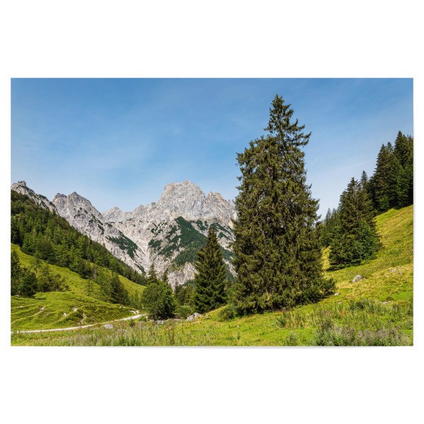 Poster 30x20 cm "Wald, Wiese, Berge" artboxONE - Natur,Reise