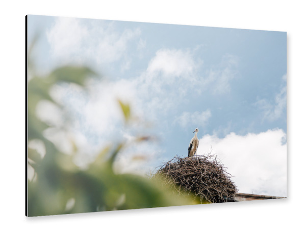 Alu-Dibond "Storch im Nest" 30x20 cm artboxONE