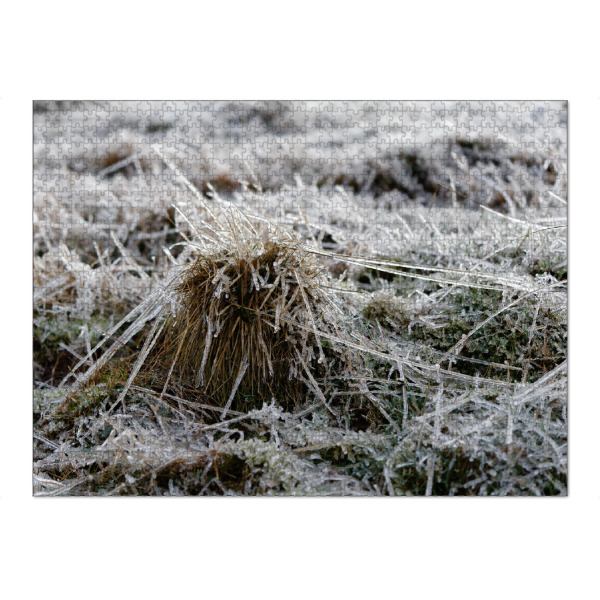 Puzzle Ravensburger "Vereiste Grashalme" artboxONE - Natur