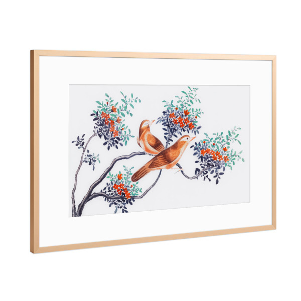 Poster mit Rahmen Kupfer "Vögel Chinas" artboxONE - Natur,Für Kinder,Tiere,Für Mama,Für Papa