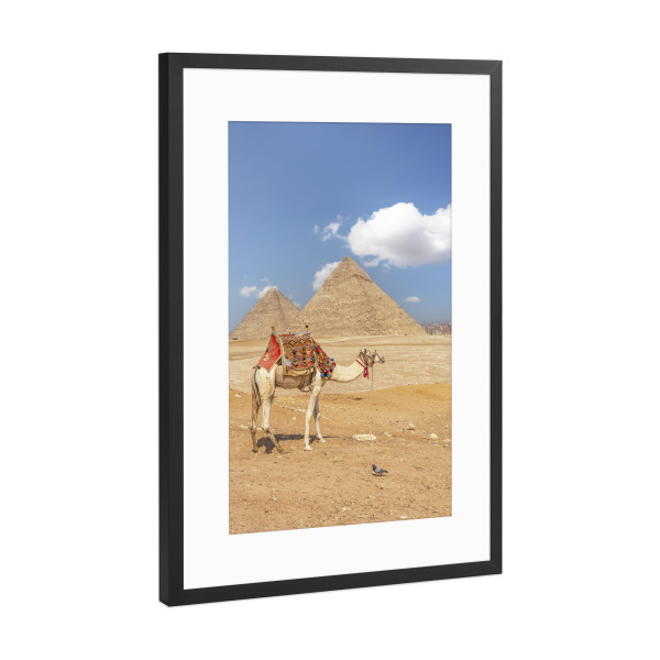 Poster mit Rahmen Schwarz (Metallic) "Pyramiden und Kamel" artboxONE - Reise,Architektur,Reise / Afrika,Reise / Länder,Städte / Weitere
