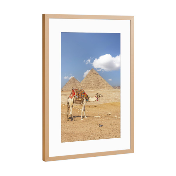 Poster mit Rahmen Kupfer "Pyramiden und Kamel" artboxONE - Reise,Architektur,Reise / Afrika,Reise / Länder,Städte / Weitere