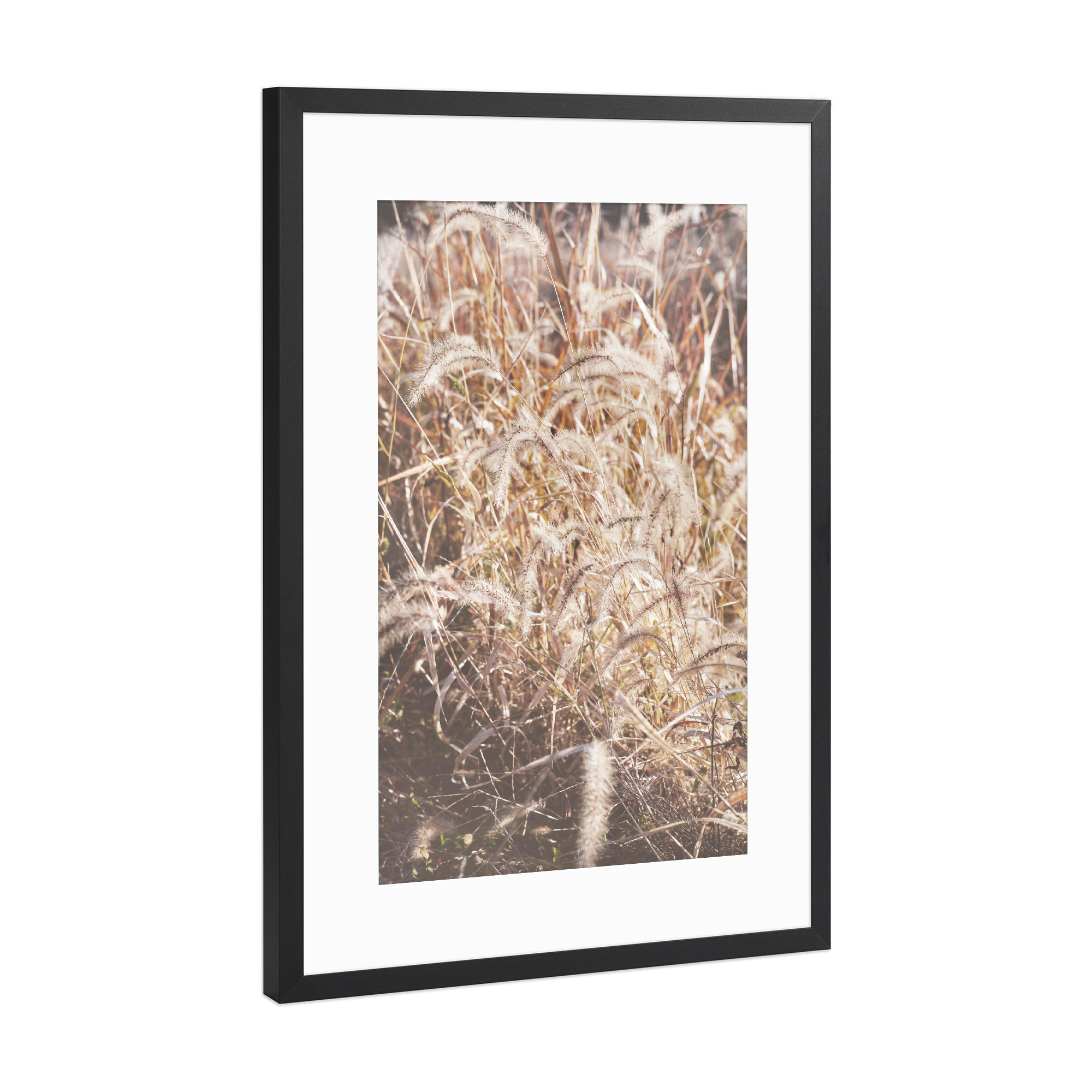 Poster mit Rahmen Schwarz (Metallic) "Sonnenuntergang Pflanzenfeld" artboxONE - Natur,Floral,Liebe