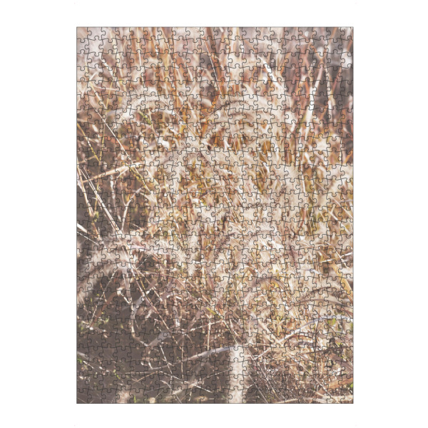 artboxONE Puzzle "Sonnenuntergang Pflanzenfeld" artboxONE - Natur,Floral,Liebe