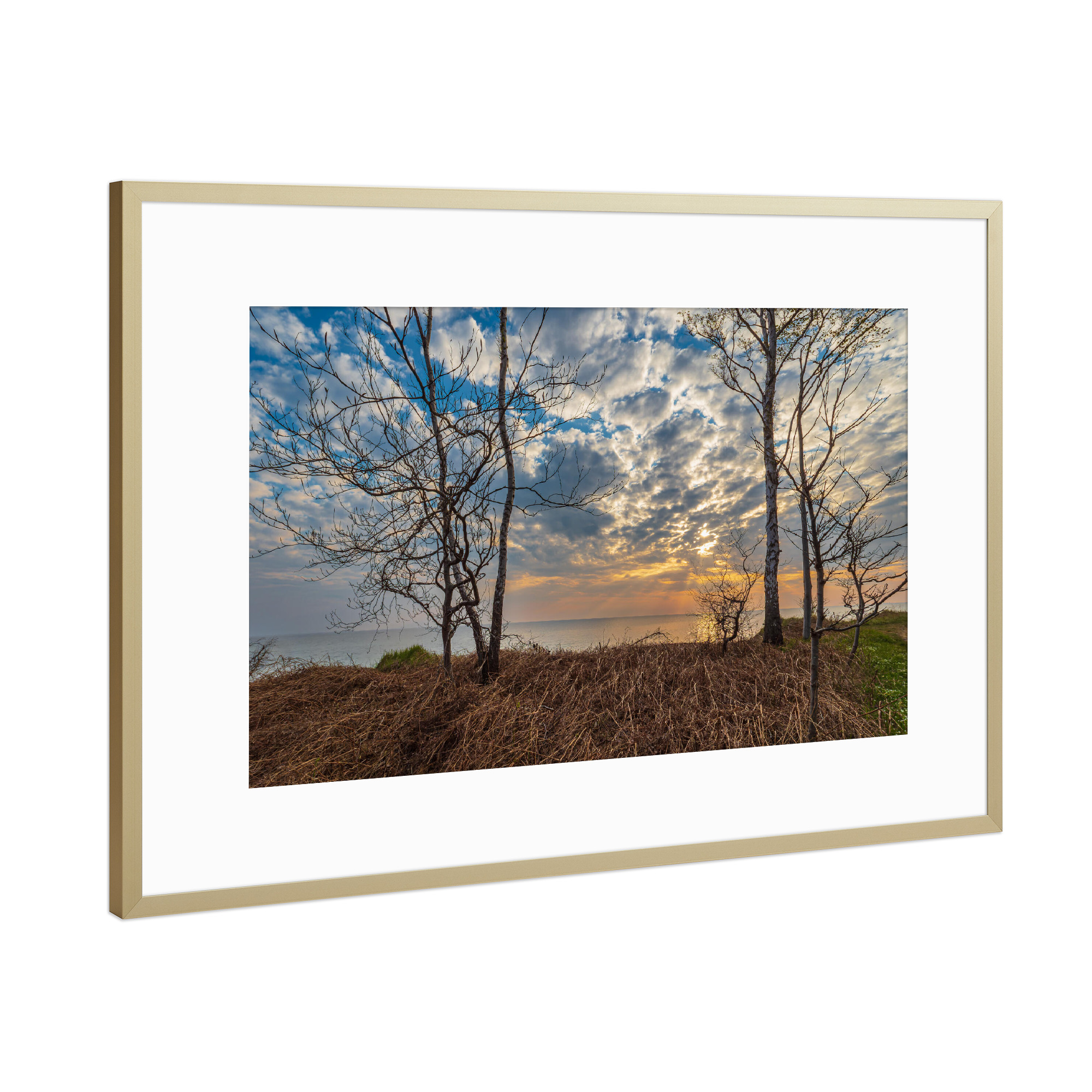 Poster mit Rahmen Gold "Düne, Bäume, Sonnenuntergang" artboxONE - Natur,Reise,Reise / Strand und Meer