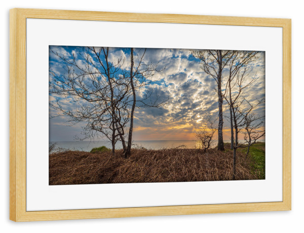 Poster mit Rahmen kiefer "Düne, Bäume, Sonnenuntergang" artboxONE - Natur,Reise,Reise / Strand und Meer