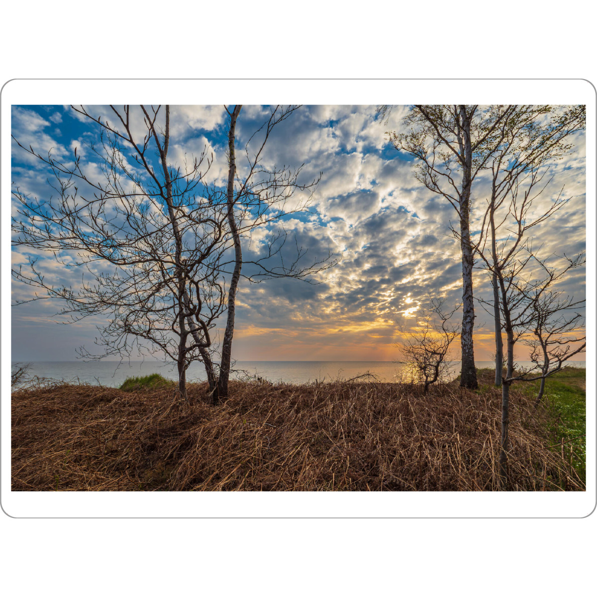 Tischset "Düne, Bäume, Sonnenuntergang" artboxONE - Natur,Reise,Reise / Strand und Meer