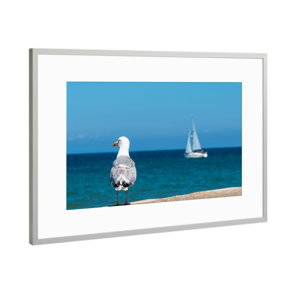 Poster mit Rahmen Silber "Möwe, Meer, Segelboot" artboxONE - Natur,Reise,Tiere,Reise / Strand und Meer