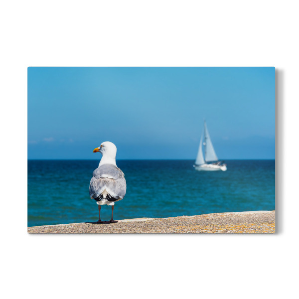 Galerie-Print "Möwe, Meer, Segelboot" 30x20 cm artboxONE