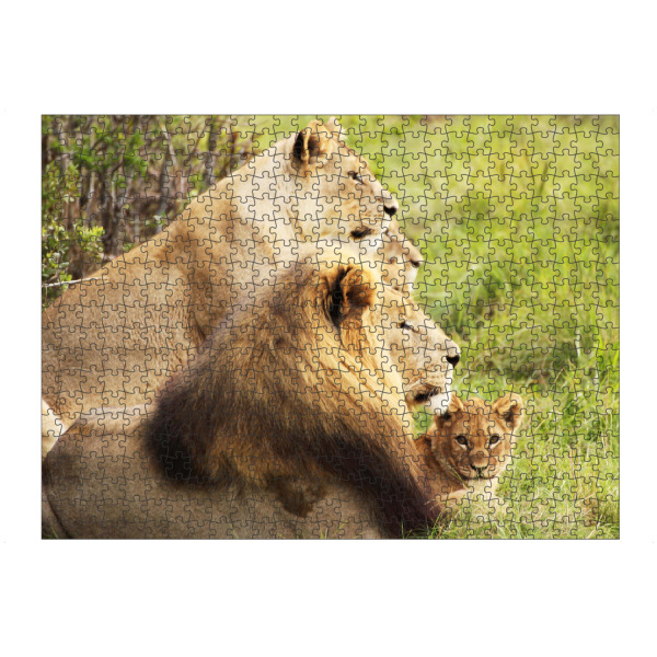 artboxONE Puzzle "Löwenbaby mit Familie" artboxONE - Natur,Tiere,Reise / Afrika