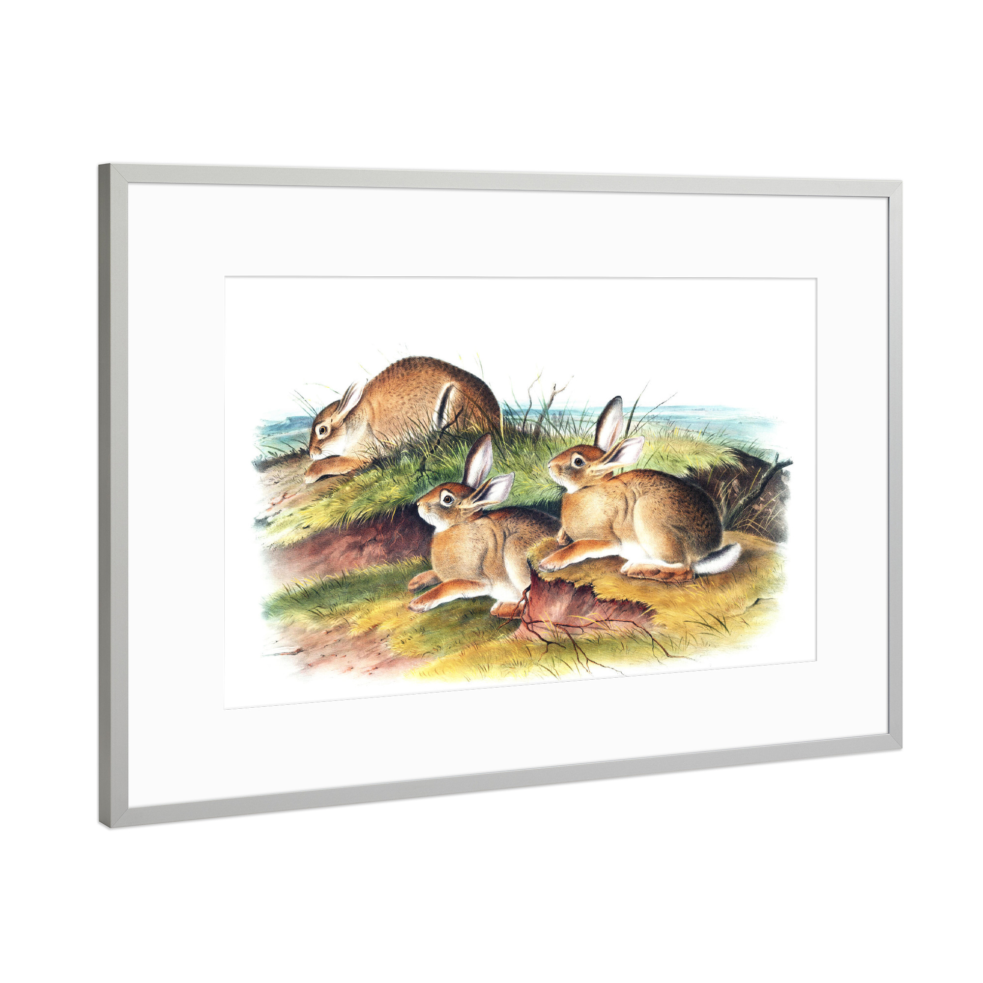 Poster mit Rahmen Silber "Warmer Waldhase" artboxONE - Natur,Für Kinder,Tiere,Für Mama,Für Papa