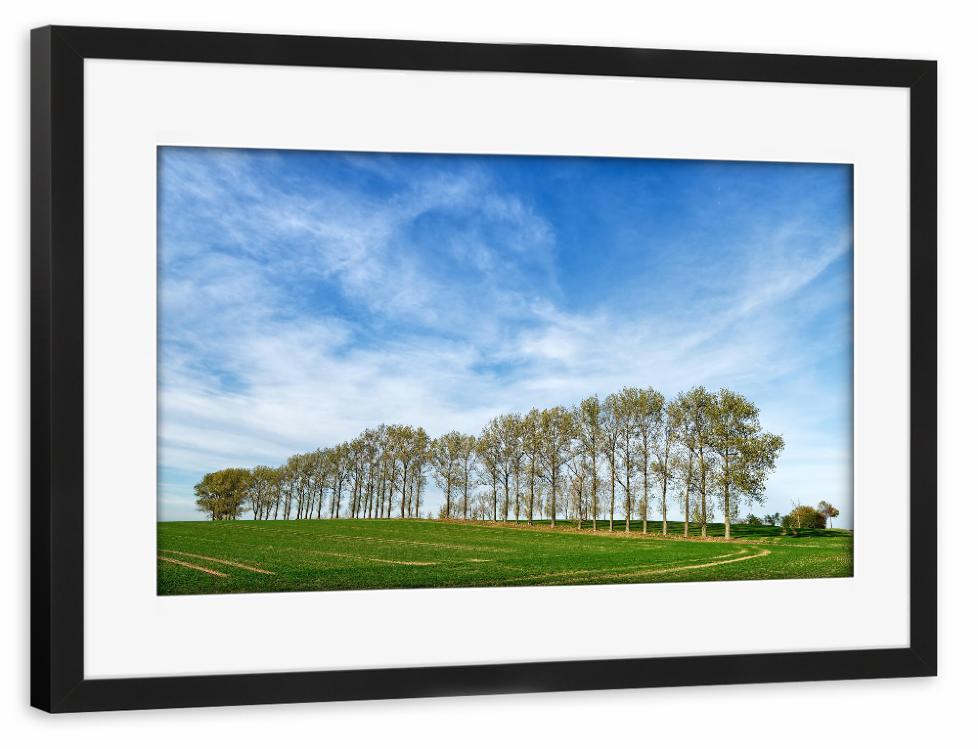 Poster mit Rahmen schwarz "Baumreihe auf einem Feld" artboxONE - Natur