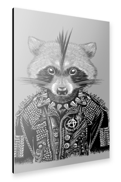 Alu-Dibond "Punk-WaschbärPunk-Waschbär" 30x20 cm artboxONE