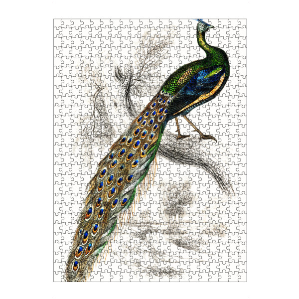 artboxONE Puzzle "Majestätischer männlicher Pfau" artboxONE - Natur,Für Kinder,Tiere,Für Mama,Für Papa