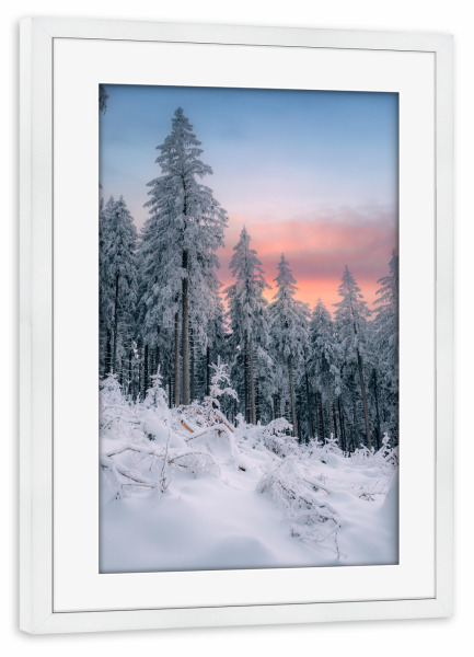 Poster mit Rahmen weiß "Sonnenuntergang im Winterwald" artboxONE - Natur - Winter,Wald,Erzgebirge,Schnee,Frost,Kalt,Bäume,Tannenbaum,Natur,Landschaft