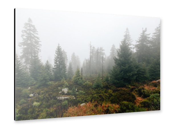 Alu-Dibond "Mystischer Harzwald" 30x20 cm artboxONE
