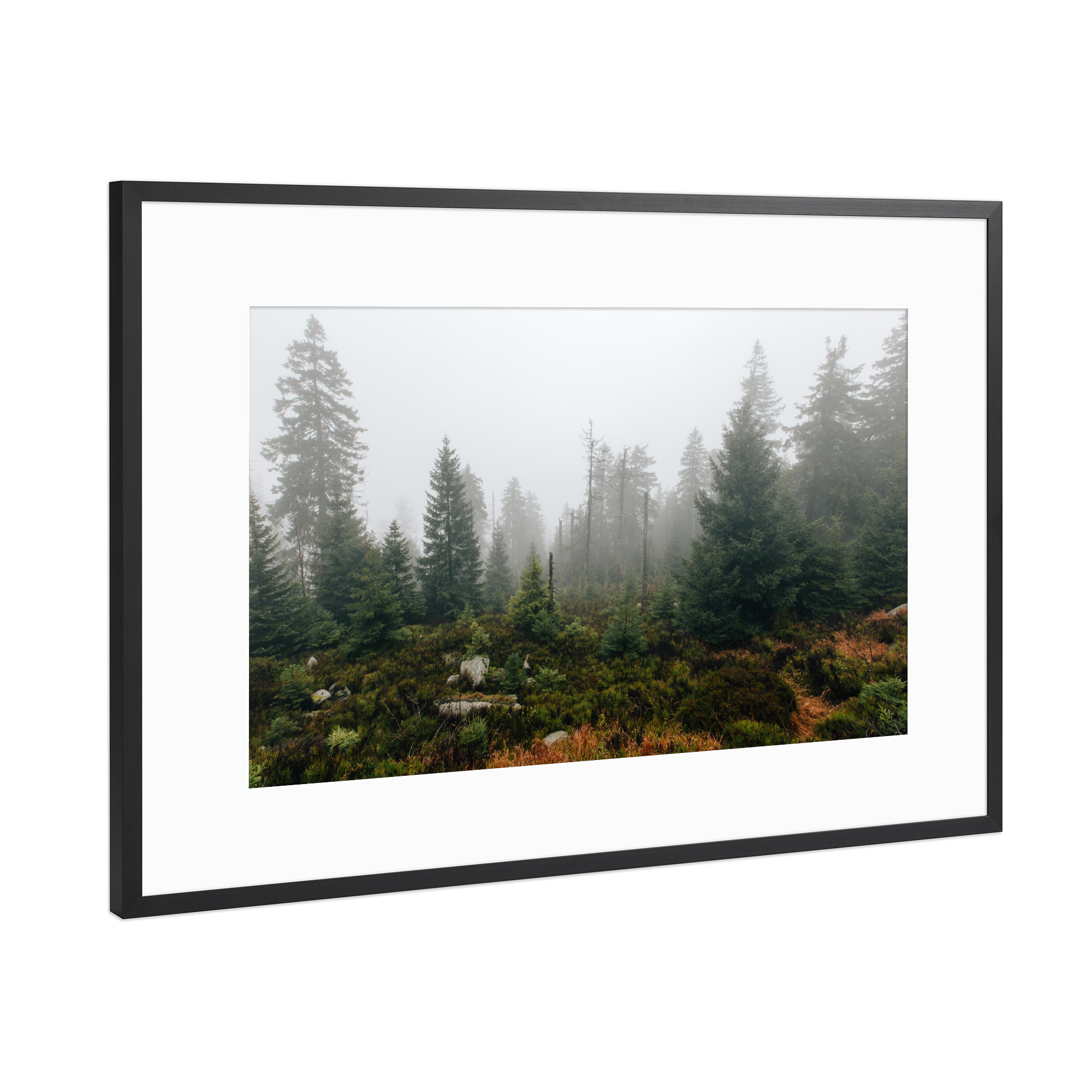 Poster mit Rahmen Schwarz (Metallic) "Mystischer Harzwald" artboxONE - Natur,Reise,Reise / Länder