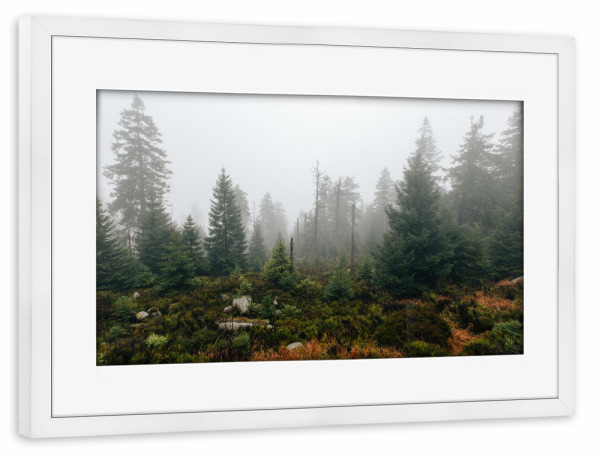 Poster mit Rahmen weiß "Mystischer Harzwald" artboxONE - Natur,Reise,Reise / Länder