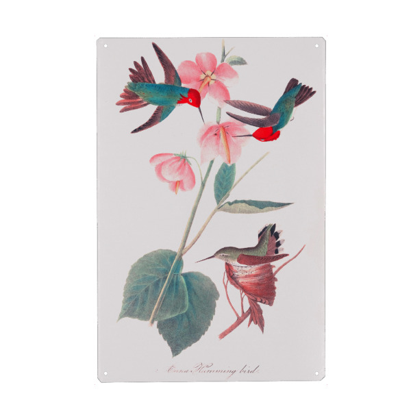 Holzbild "Grüne und rosa Vögel von Amerika" artboxONE - Natur,Reise,Für Kinder,Tiere,Für Mama