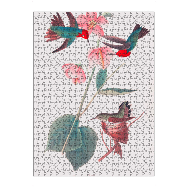 artboxONE Puzzle "Grüne und rosa Vögel von Amerika" artboxONE - Natur,Reise,Für Kinder,Tiere,Für Mama