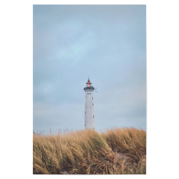 Poster "Lyngvig Fyr an kaltem Wintertag" artboxONE - Natur,Reise,Architektur