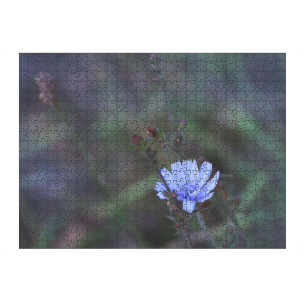 artboxONE Puzzle "Zarte Wildblume" artboxONE - Natur - Flower,Wildflower,Blue,Wildblume,Naturliebe,Blumenliebe,Zarteblume,Zartesblau