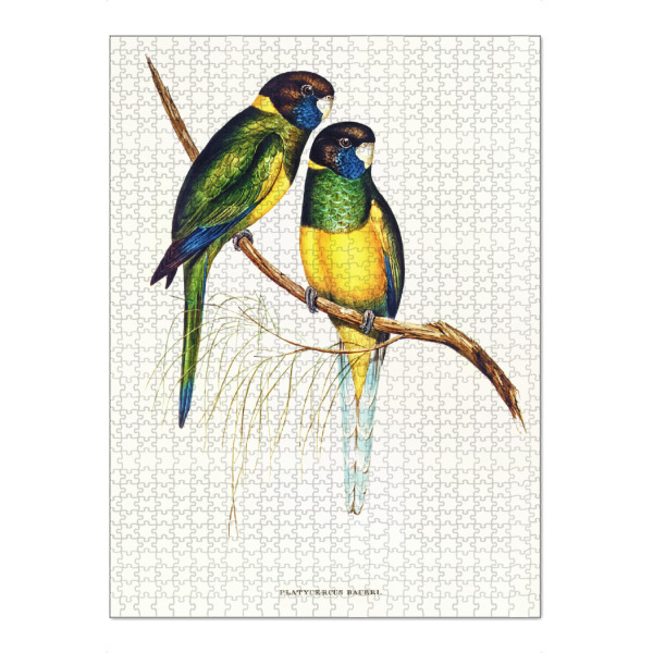 Puzzle Ravensburger "Bauersittich" artboxONE - Natur,Für Kinder,Tiere,Für Mama,Für Papa