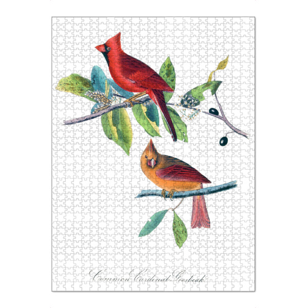 Puzzle Ravensburger "Orange und rote Vögel von Amerika" artboxONE - Natur,Reise,Für Kinder,Tiere,Für Mama