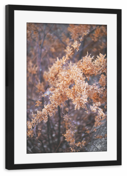 Poster mit Rahmen schwarz "Herbstpflanzen" artboxONE - Natur,Floral,Für Mama - Pflanze,Pampas,Herbst