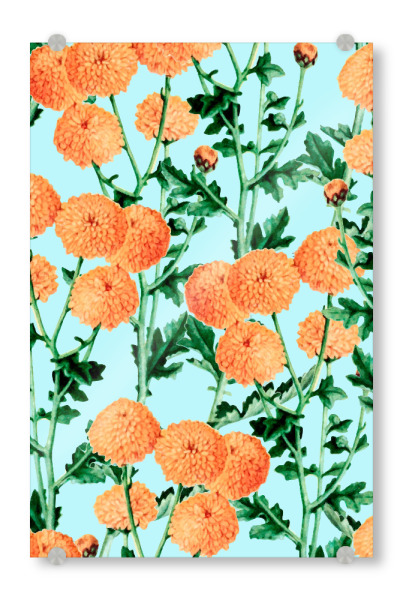 Acrylglasbild "Sommerblüte" artboxONE - Floral - Grafikdesign,Andere,Muster,Gerbera,Natur,Tropisch,Exotisch,Indisch,Tagetes,Blumen