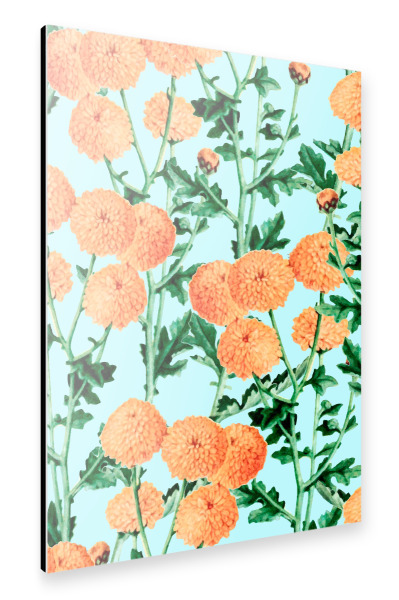 Alu-Dibond "Sommerblüte" 30x20 cm artboxONE