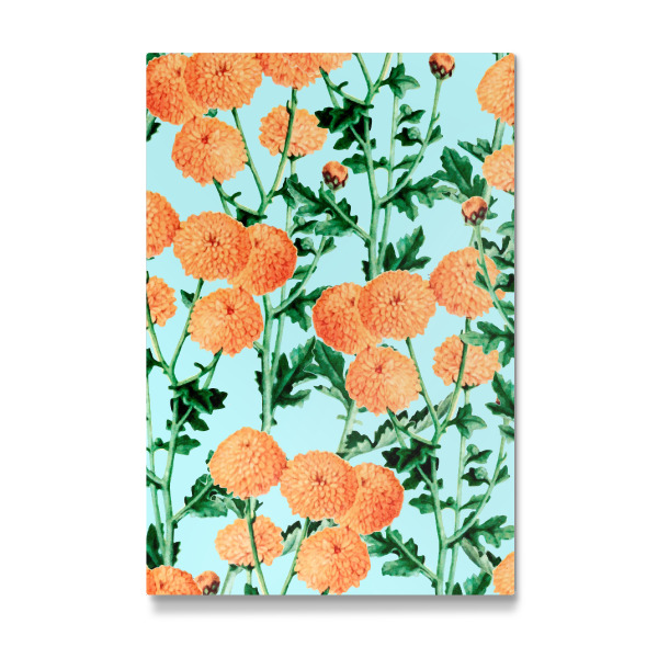 Galerie-Print "Sommerblüte" 30x20 cm artboxONE