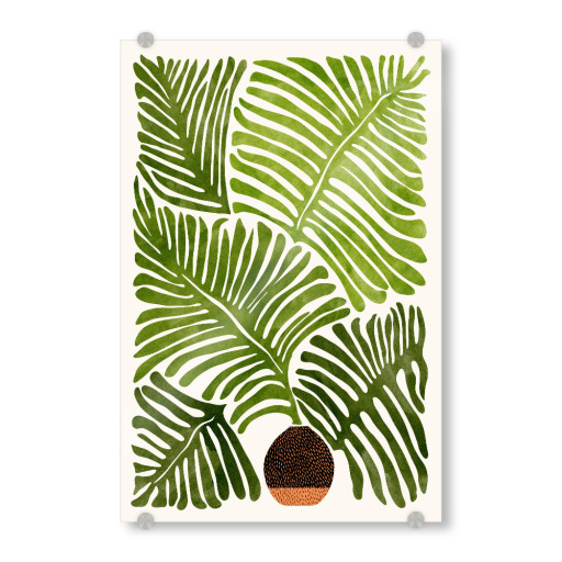 Summer Fern