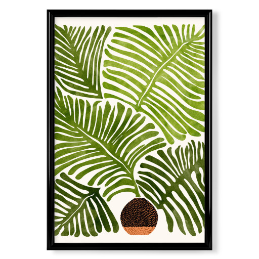 Summer Fern