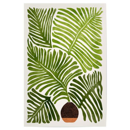 Summer Fern
