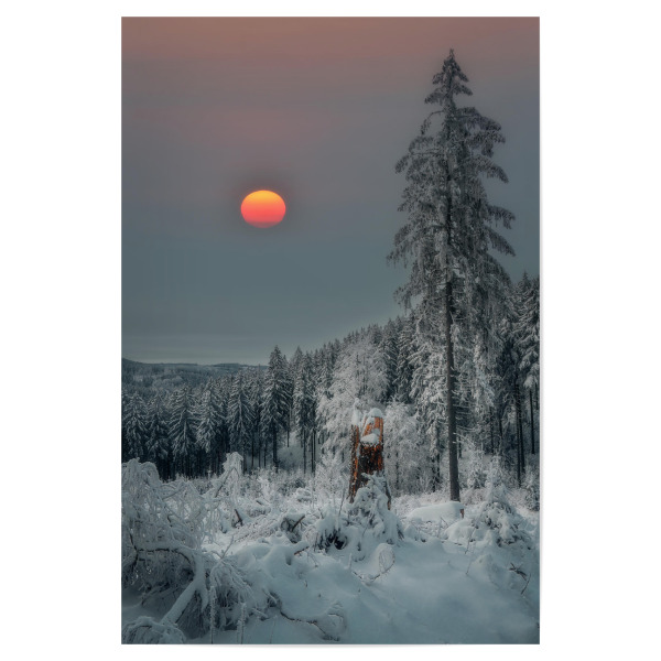 Poster "Winter Vibes" artboxONE - Natur - Winter,Sonne,Wald,Schnee,Eis,Frost,Erzgebirge,Tannenbaum,Kalt,Natur