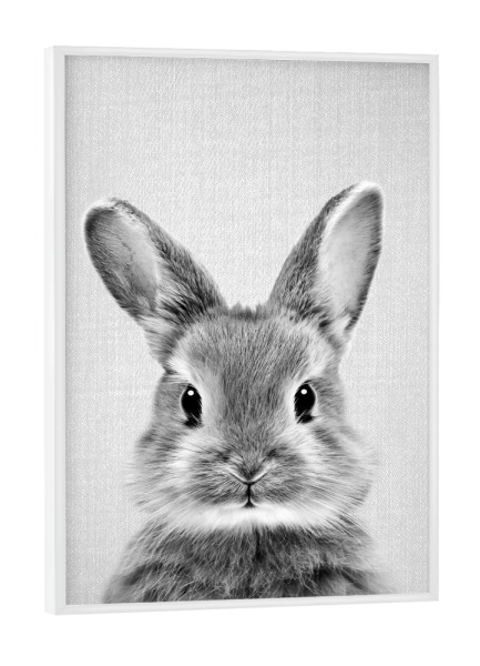Poster mit weißem Rahmen "Baby-Kaninchen - Schwarz & Weiß" artboxONE - Natur,Für Kinder,Tiere,Liebe,Für Mama