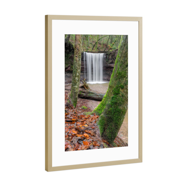 Poster mit Rahmen Gold "In der Hörschbachschlucht" artboxONE - Reise,Reise / Länder