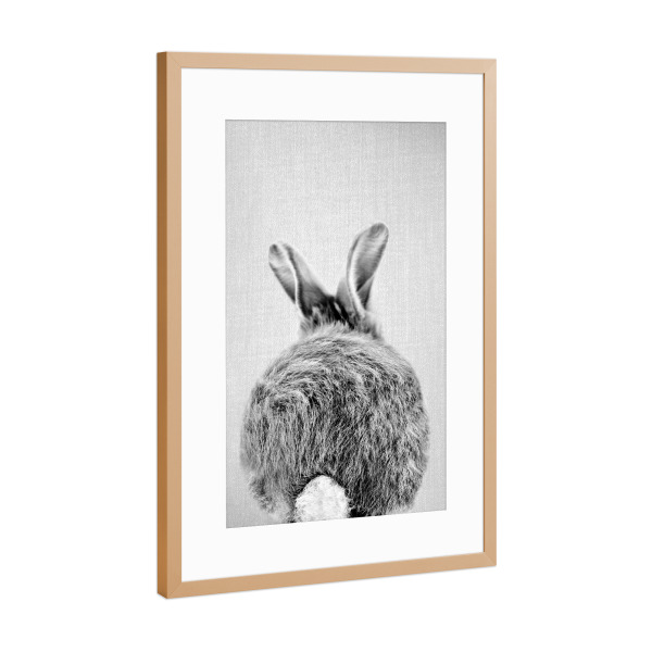 Poster mit Rahmen Kupfer "Baby-Kaninchenschwanz" artboxONE - Natur,Für Kinder,Tiere,Liebe,Lustig