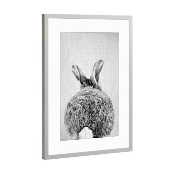 Poster mit Rahmen Silber "Baby-Kaninchenschwanz" artboxONE - Natur,Für Kinder,Tiere,Liebe,Lustig