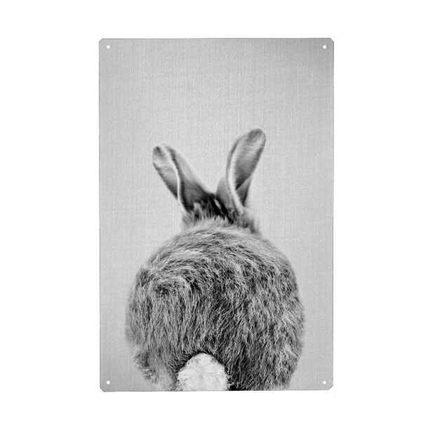 Holzbild "Baby-Kaninchenschwanz" artboxONE - Natur,Für Kinder,Tiere,Liebe,Lustig