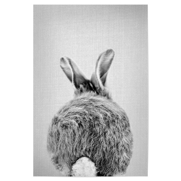 Poster 30x20 cm "Baby-Kaninchenschwanz" artboxONE - Natur,Für Kinder,Tiere,Liebe,Lustig