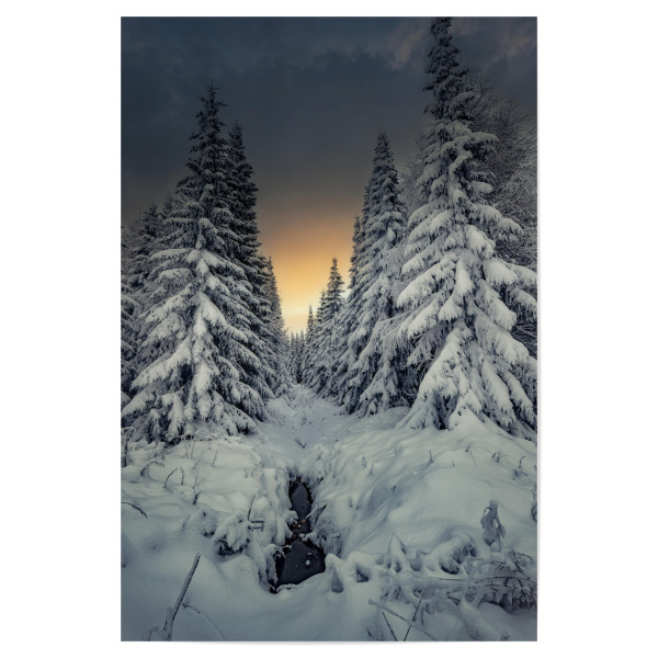 Poster "Winterstimmung im Erzgebirge" artboxONE - Natur - Winter,Wald,Natur,Landschaft,Schnee,Frost,Eis,Kalt,Sonnenuntergang,Erzgebirge,Tanne