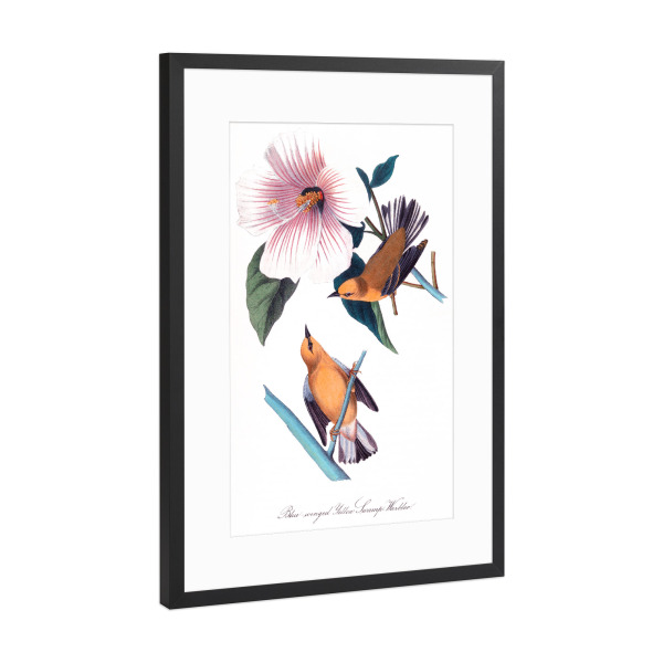 Poster mit Rahmen Schwarz (Metallic) "Orange und braune Vögel" artboxONE - Natur,Reise,Für Kinder,Tiere,Für Mama